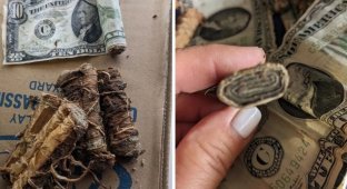 «Думал, что мусор»: мужчина нашел крупную сумму денег у себя под крыльцом (4 фото)
