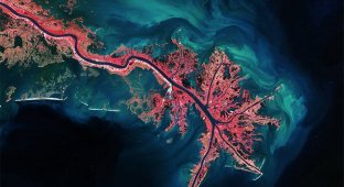 9 потрясающих фотографий Земли из космоса (9 фото)