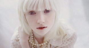 Интересные факты, которые вы не знали об альбинизме (25 фото)
