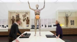 Стеклянная женщина в немецком музее гигиены (6 фото)