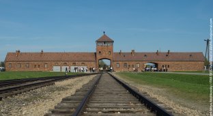 Освенцим. Лагерь смерти (36 фото)