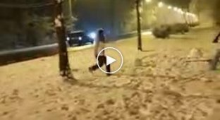 Игры в снежки по румынски