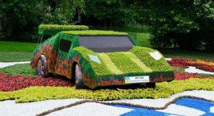 Выставка зеленых авто в Киеве (21 фото)