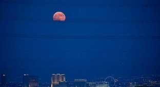 Земляне наблюдали за красной Луной (45 фото)