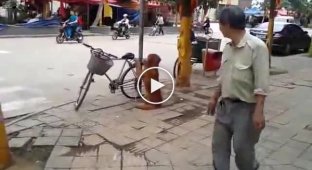 Собака охраняет велосипед хозяина в Китае