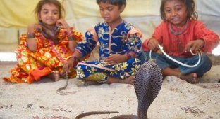 Маленькие заклинатели змей (15 фотографий)