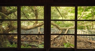 Виды из окон заброшенных домов (30 фото)