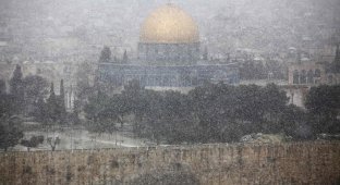 Иерусалим занесло снегом (43 фото)