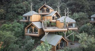 В Китае построили волшебный отель из домиков на деревьях (9 фото)