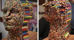 Необычная скульптура из цветных карандашей Молли Гамбарделлы (3 фото)