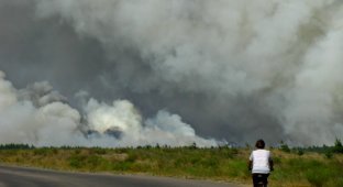 Лесные пожары на востоке Украины (8 фото)