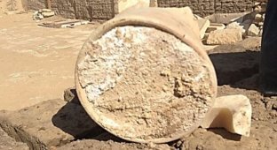 В древней египетской гробнице был найден "самый старый сыр в мире" (8 фото)