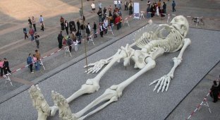 Гигантский путешествующий скелет (6 фото)