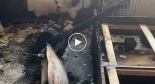 Взрыв электросамоката разнес квартиру в Перми