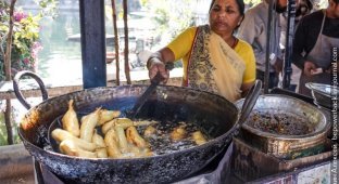 Как я чуть не стал вегетарианцем в Индии (16 фото)