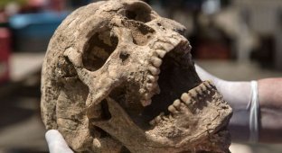 Археологи обнаружили захоронение таинственного библейского народа (2 фото + 1 видео)