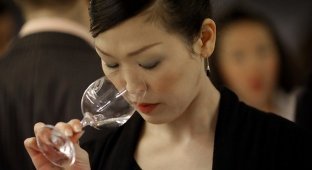 Конкурс вин в Лондоне (21 фото)