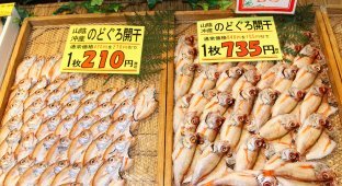 Рыбный рынок в Японии (26 фото)