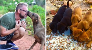 Мужчина ежедневно кормит 80 бездомных собак, потому что не может видеть, как они голодают (14 фото)