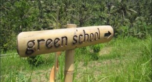 Зеленая школа на Бали (44 фото)