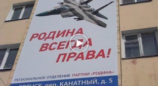 Партия Родина повесила в Брянске к 9 мая плакат с американским истребителем