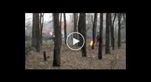 Мужчина попытался пожарить шашлыки в лесу во время карантина