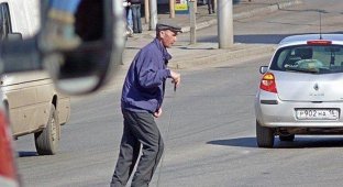 Виновных в ДТП пешеходов обязали компенсировать ущерб водителям (текст)