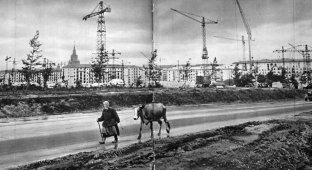 Маленькая фотоподборка московских контрастов пятидесятых-шестидесятых годов (36 фото)