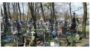 Калужский губернатор предложил запретить оградки на кладбище (3 фото)