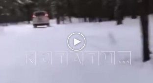 «Хочу и буду!» Бывший министр здравоохранения Нижегородской области катается по лыжной трассе