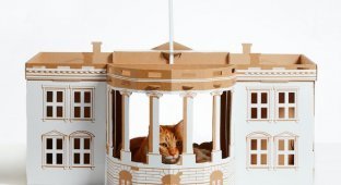 7 картонных домиков для кошек, смоделированных на основе известных архитектурных сооружений (8 фото)