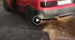В Мытищах мужчина спустил собаку на девушку, которую едва не задавил на машине, а после напал на неё