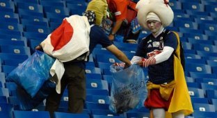 Японские болельщики после поражения в матче "Бельгия - Япония" (3 фото)
