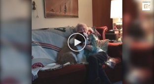 Крепкая дружба между песиком и бабушкой
