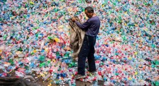 Ученые создали фермент, способный уничтожать пластиковый мусор (5 фото)