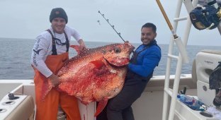 Рыбаки поймали «теплокровную» рыбу весом 65 кг (7 фото + 2 видео)