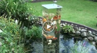 Классный аквариум прямо в саду
