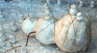 Самые ужасные снеговики (7 фото)