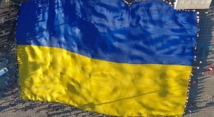 Грозит ли Украине раскол из-за языка