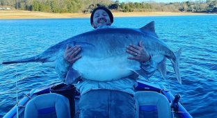 Вот так улов: мужчина поймал гигантскую рыбу весом более 50 килограммов (2 фото + 1 видео)