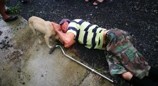Собака спасла своего хозяина от смерти (5 фото)