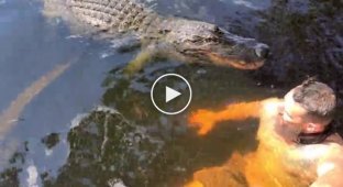 Крокодил попытался укусить мужчину во время купания в водоеме