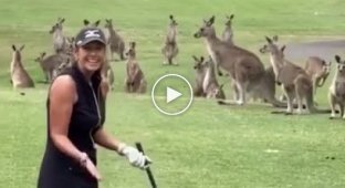 В Австралии во время гольфа, пришли постоянные зрители