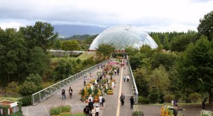 Японский парк цветов Тоттори (28 фото)