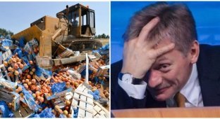 Песков объяснил, почему уничтожают санкционные продукты (3 фото)