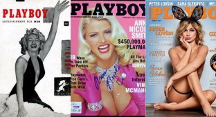Эротика в цифрах. Как менялся облик моделей Playboy (11 фото)