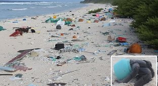 Райский остров превратился в самое загрязненное место на планете (8 фото)