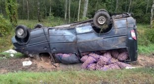 В Беларуси перевернулся микроавтобус набитый картошкой (5 фото)