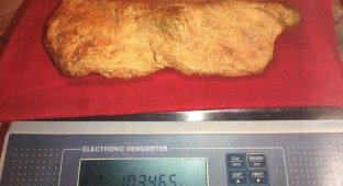В Хабаровском крае нашли золотой самородок весом более 10 килограмм (2 фото)