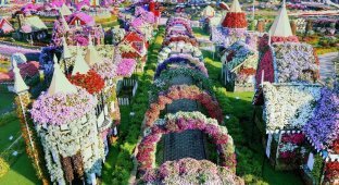 Сад чудес Дубая — крупнейший цветочный сад планеты (10 фото)
